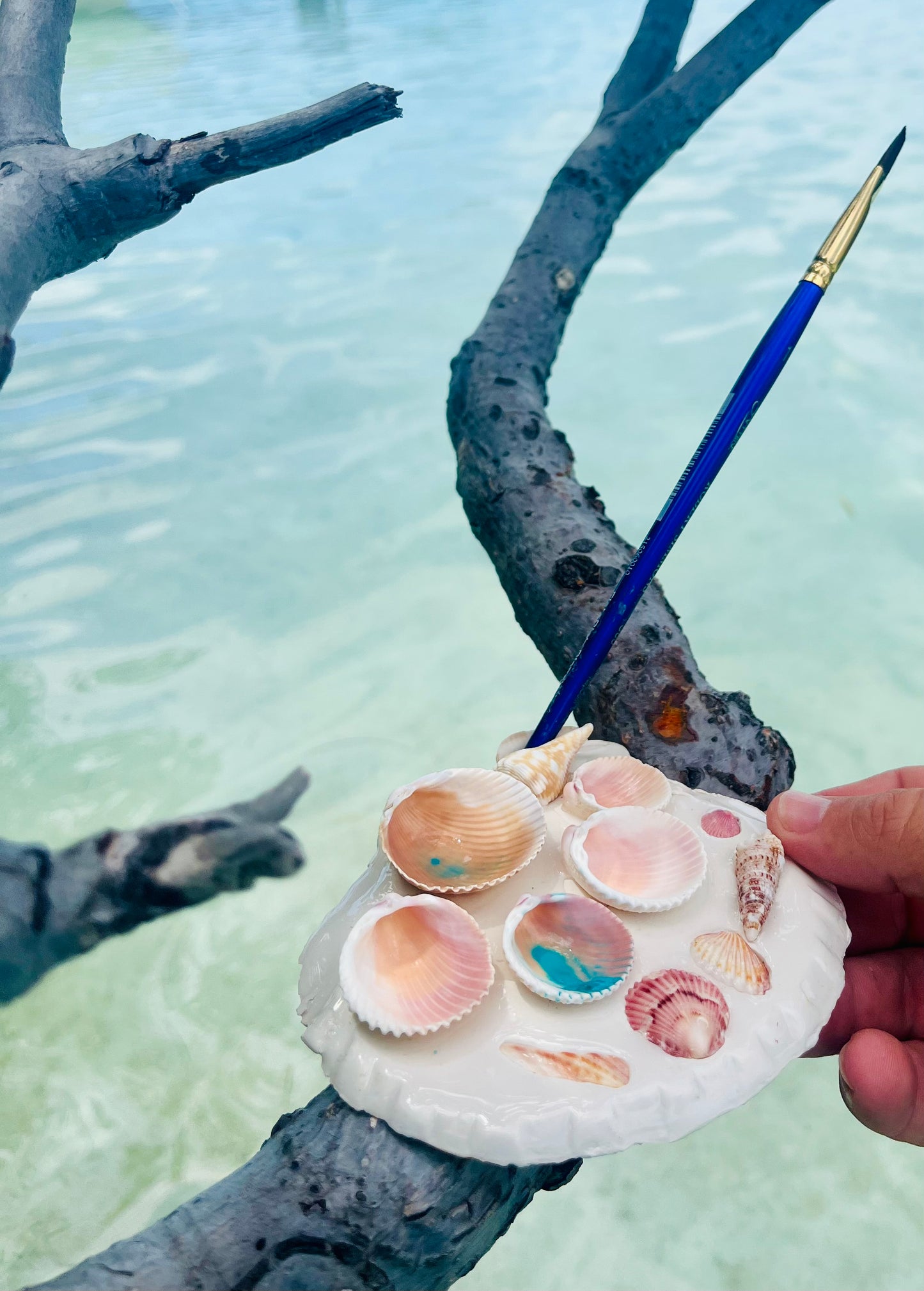 La Mini Del Mar Seashell Palette