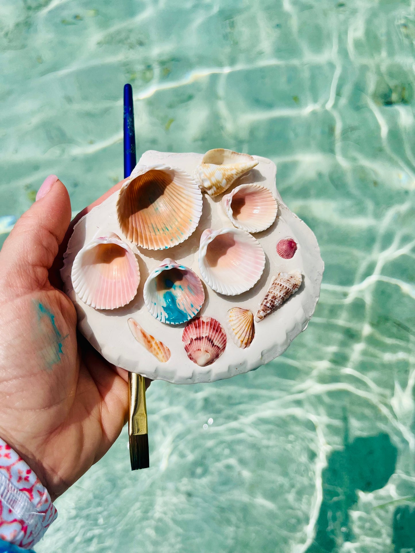 La Mini Del Mar Seashell Palette