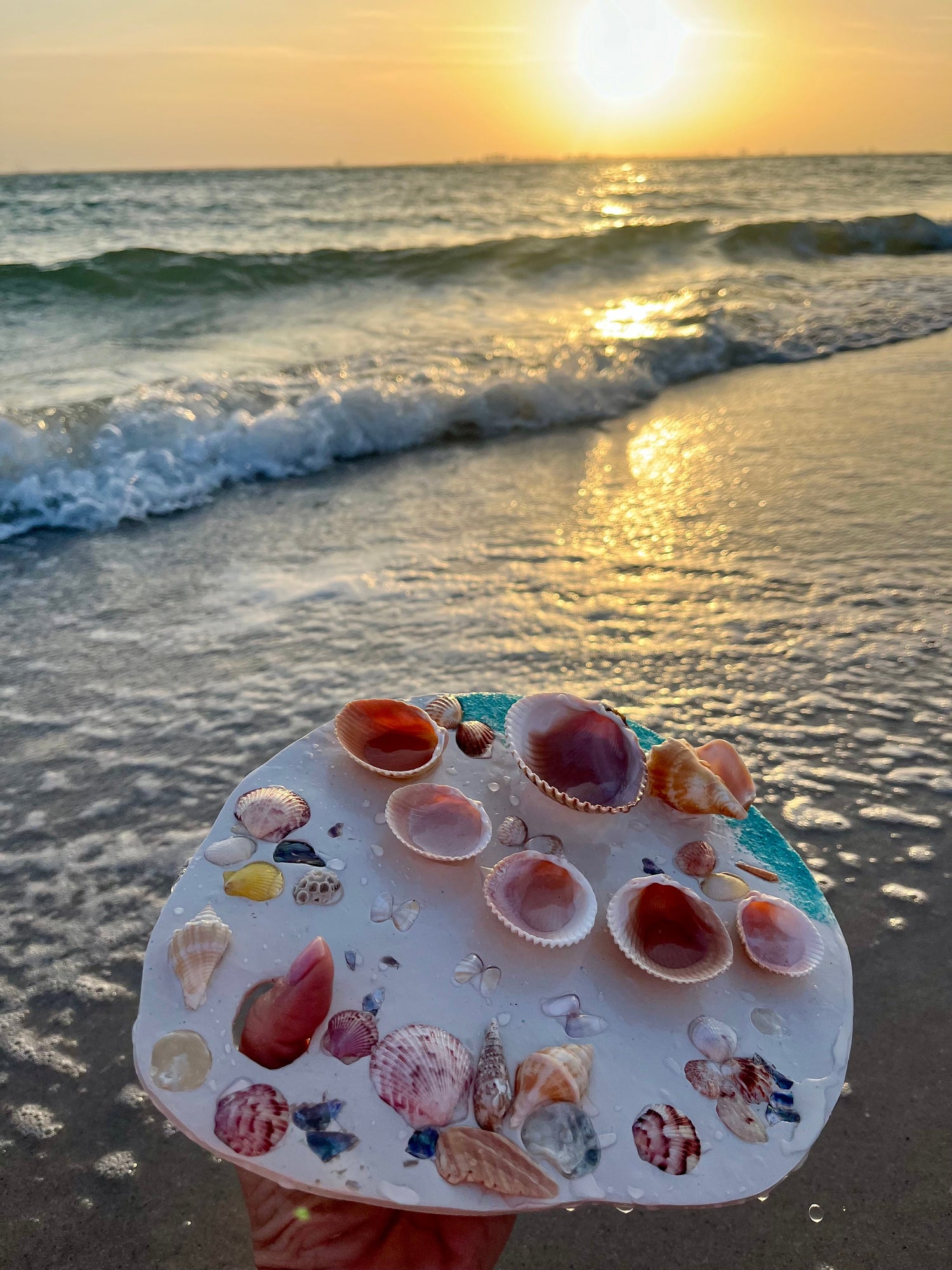 Del Mar Seashell Palette